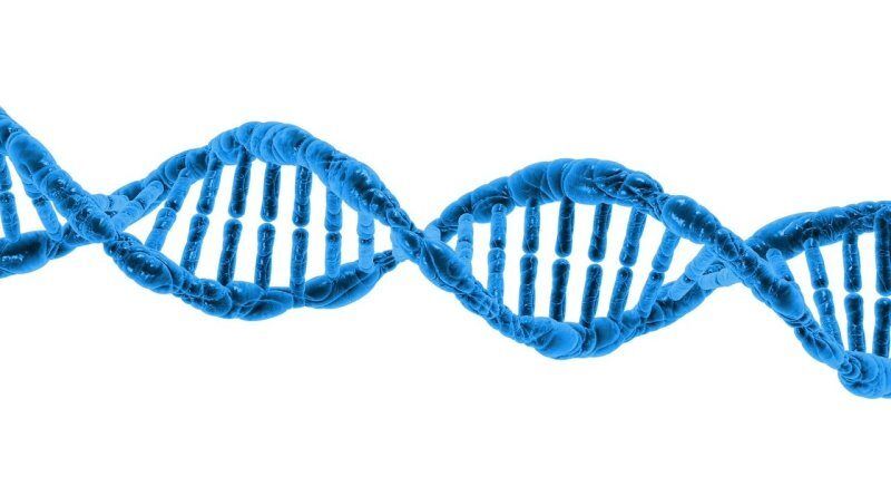 wolne płodowe dna, badania wolnego płodowego dna, cffdna, test wolnego dna płodowego